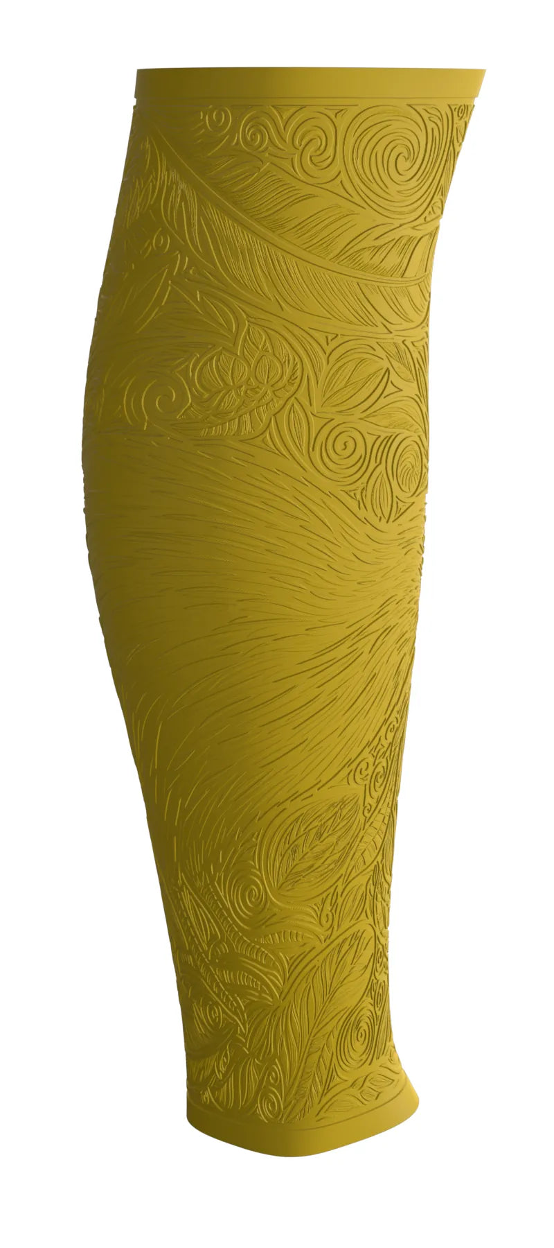 Kiwikiwi | Kiwi Explorer