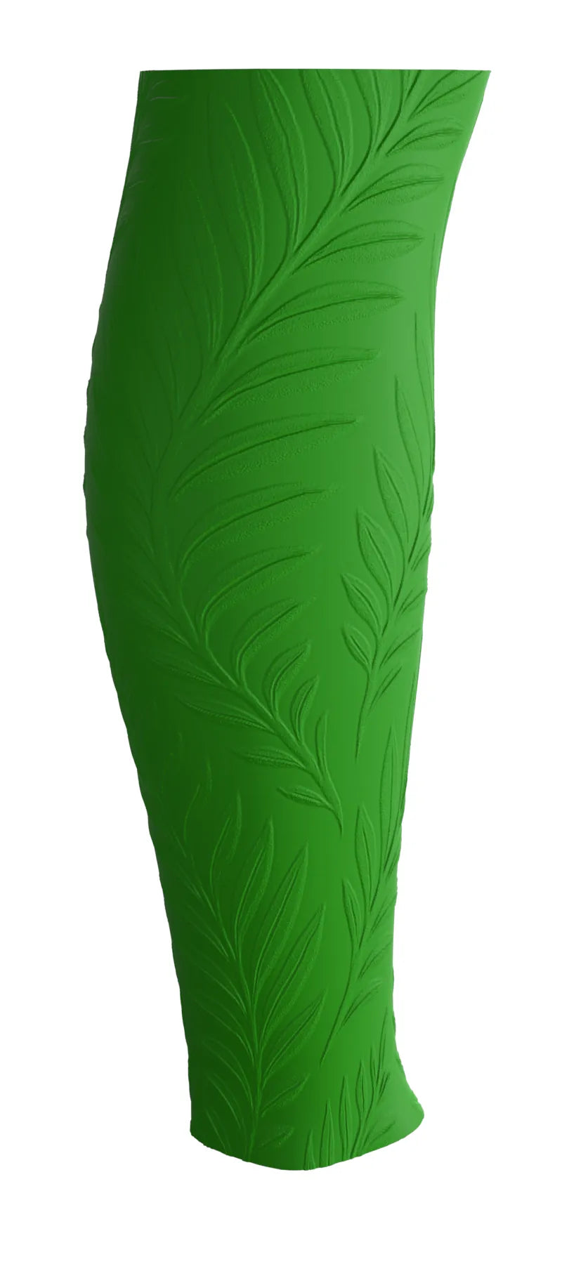 Ferns