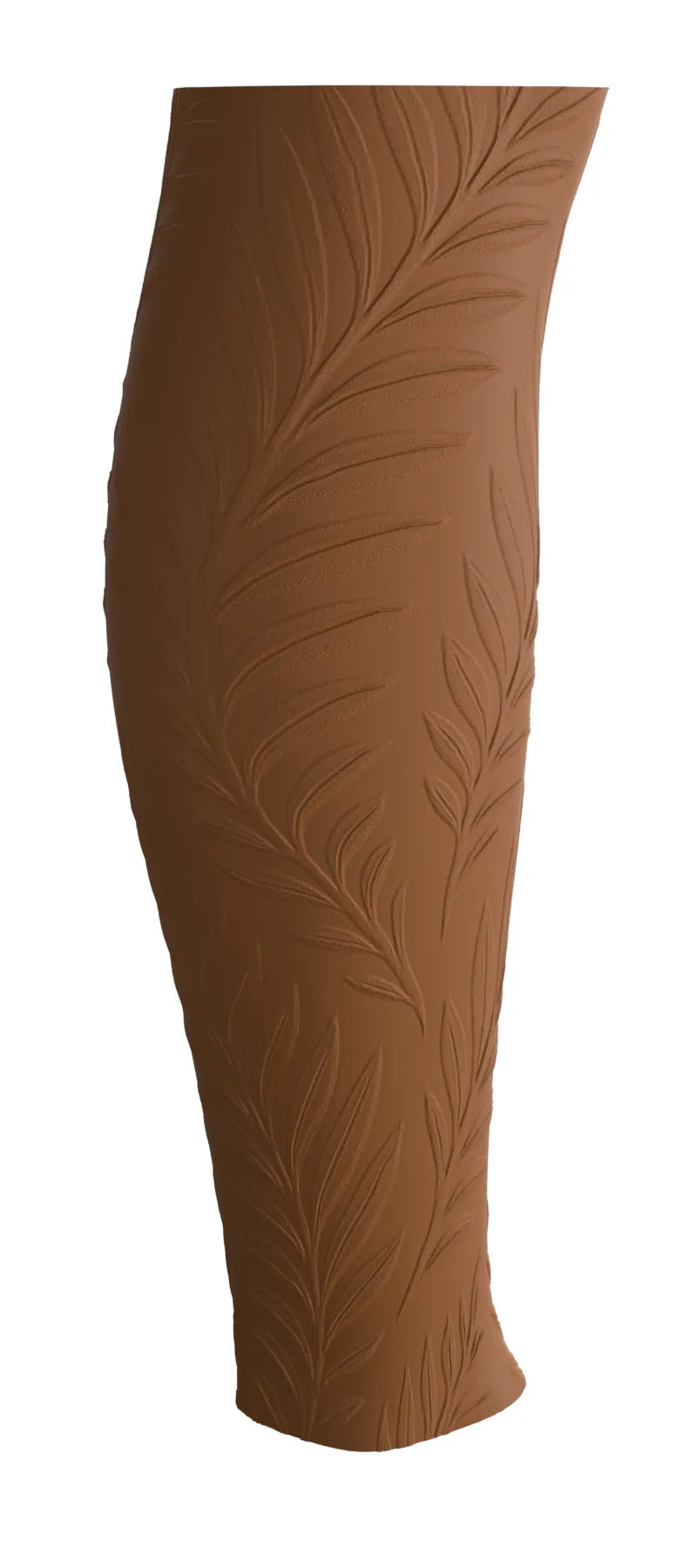 Ferns