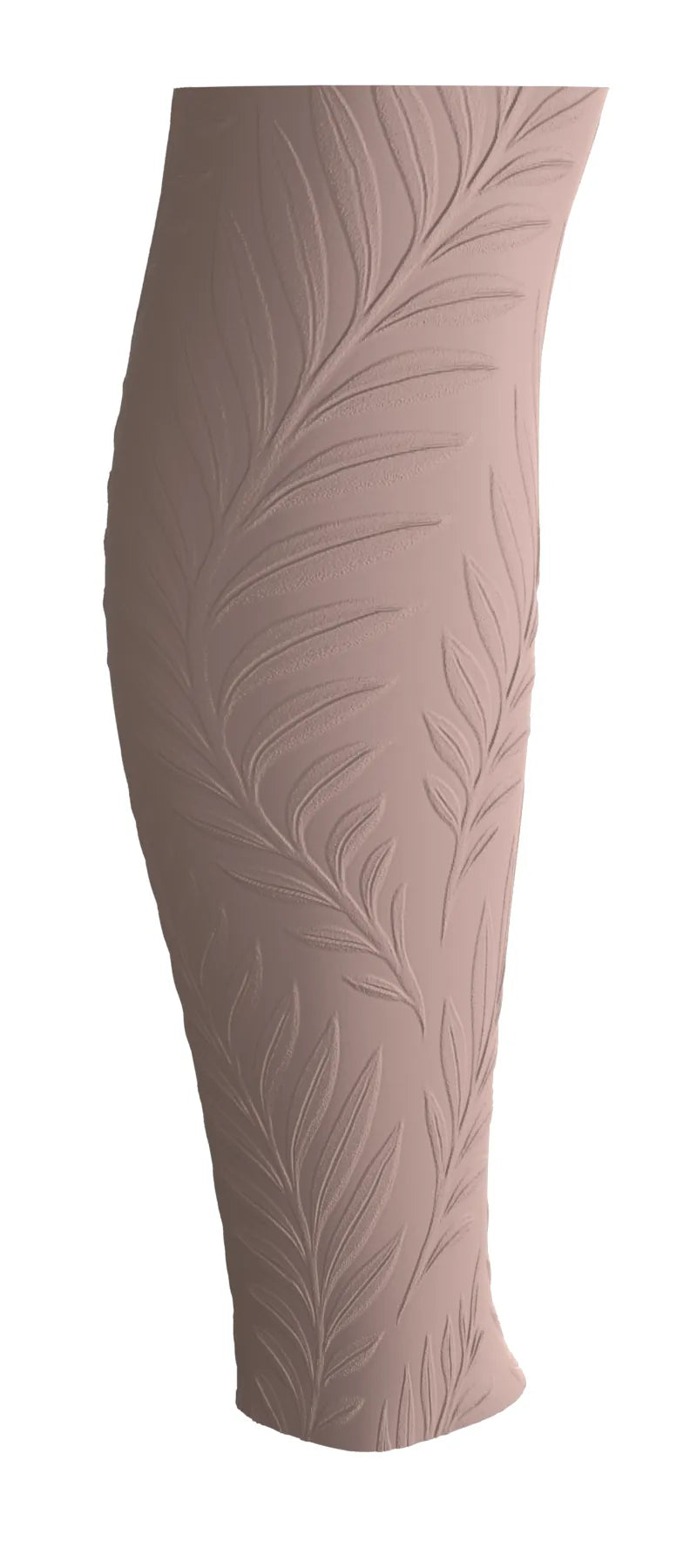 Ferns