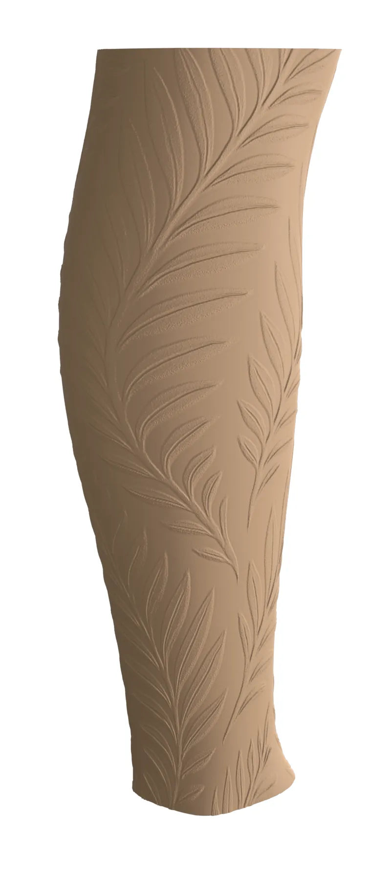 Ferns