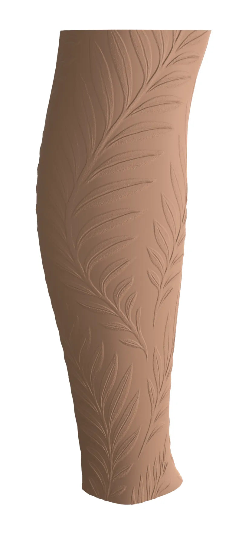 Ferns