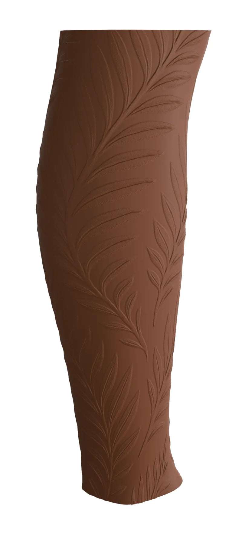Ferns