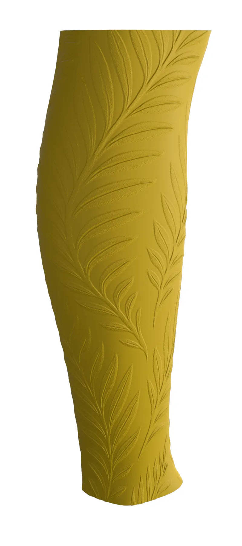 Ferns
