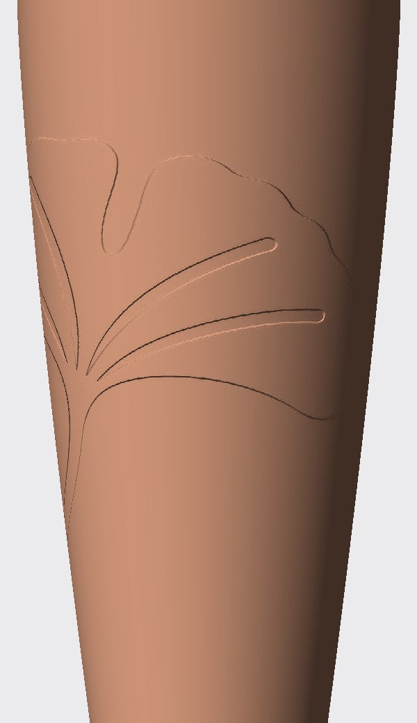 Ginkgo Leaf cover