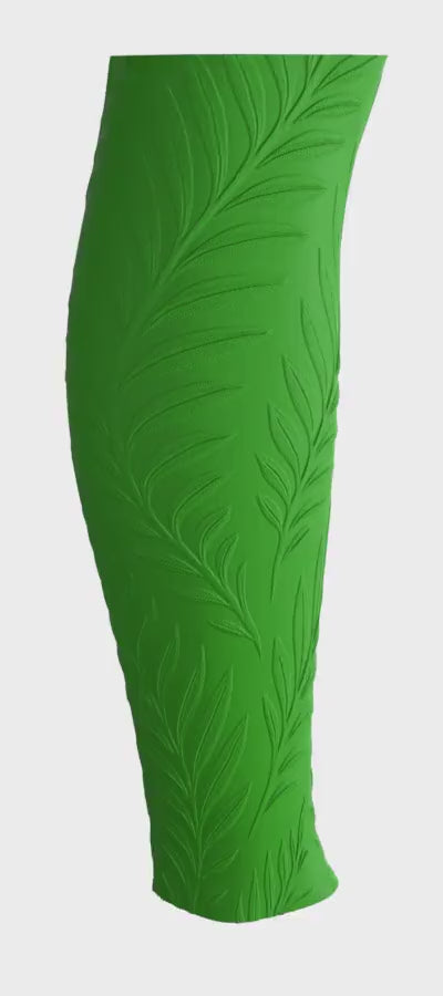 Ferns